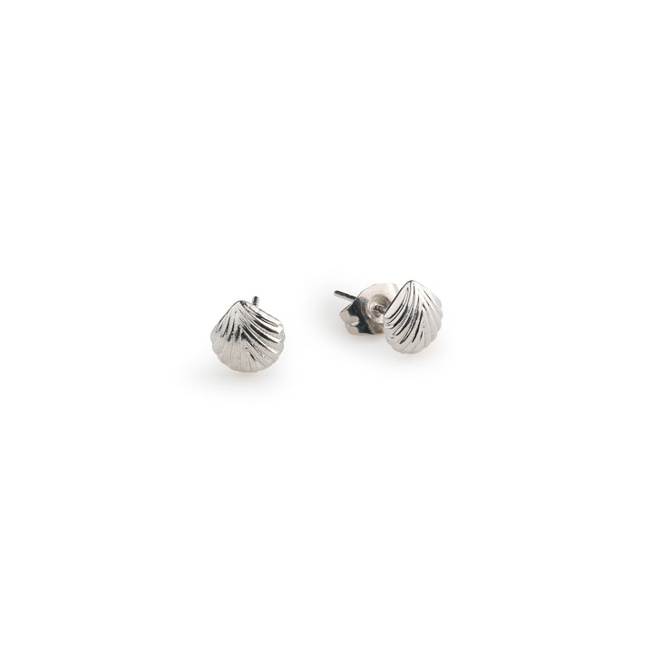 Ane - Seashell Stud Earrings Stainless Steel