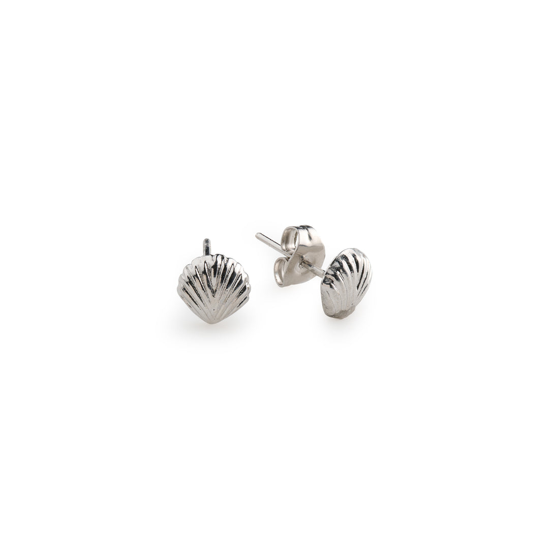 Ane - Seashell Stud Earrings Stainless Steel