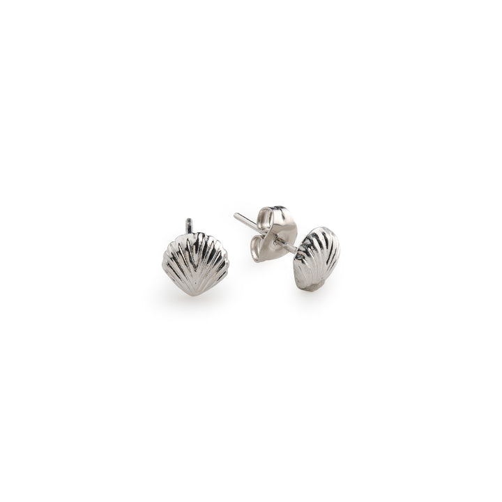 Ane - Seashell Stud Earrings Stainless Steel