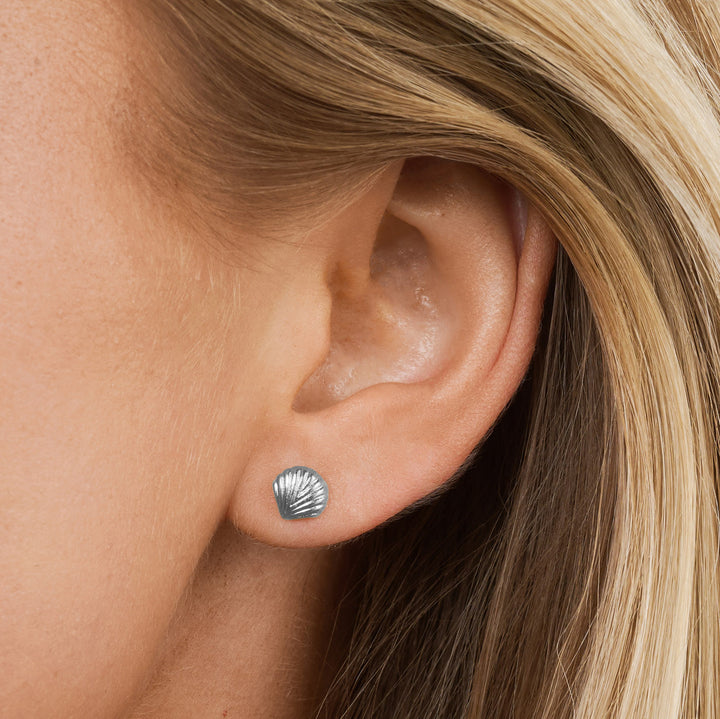 Ane - Seashell Stud Earrings Stainless Steel
