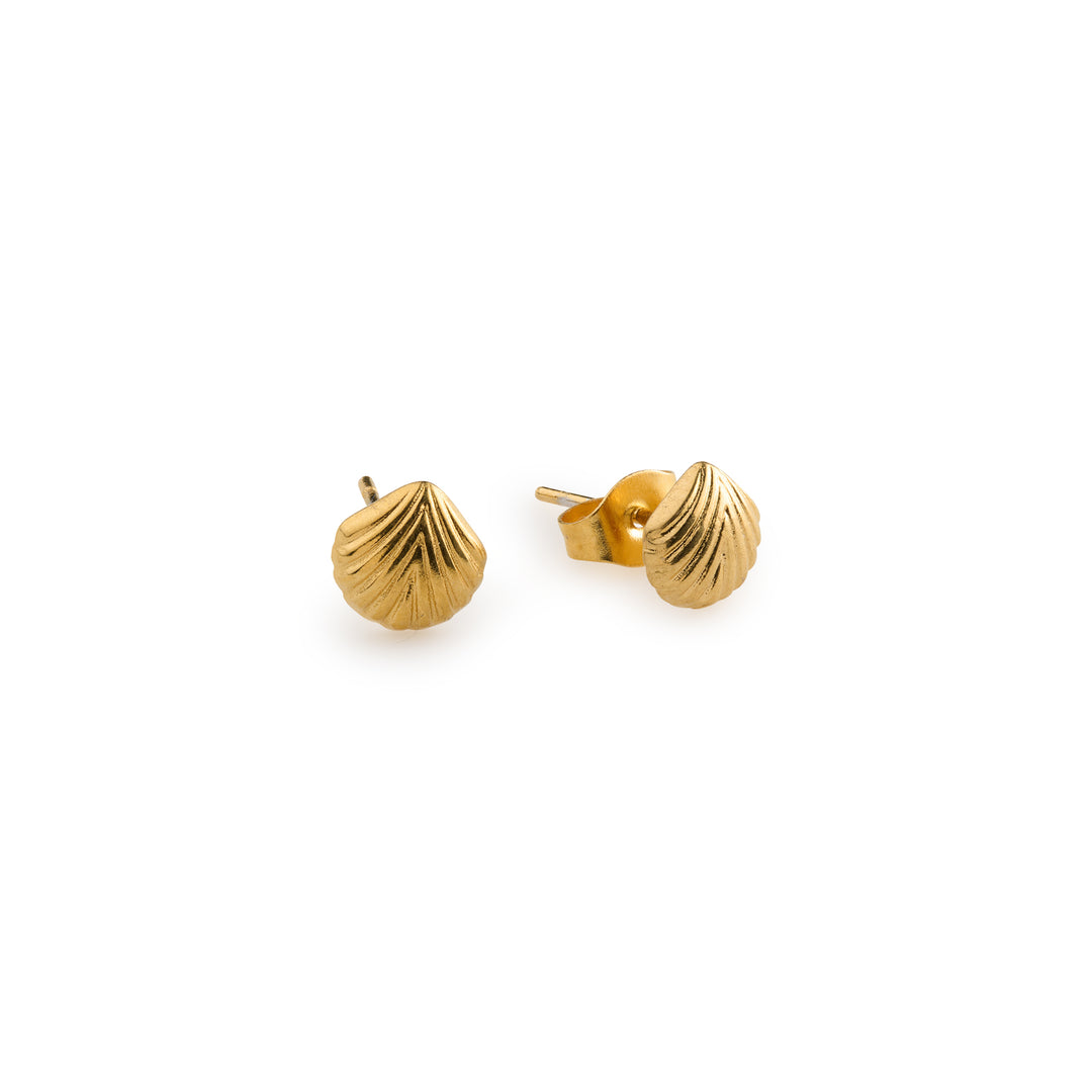 Ane - Seashell Stud Earrings Stainless Steel