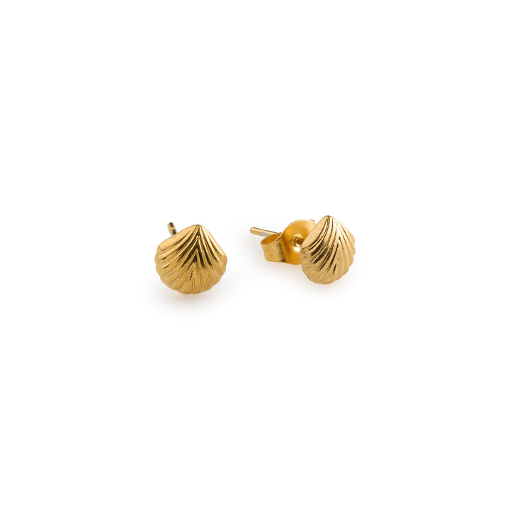 Ane - Seashell Stud Earrings Stainless Steel