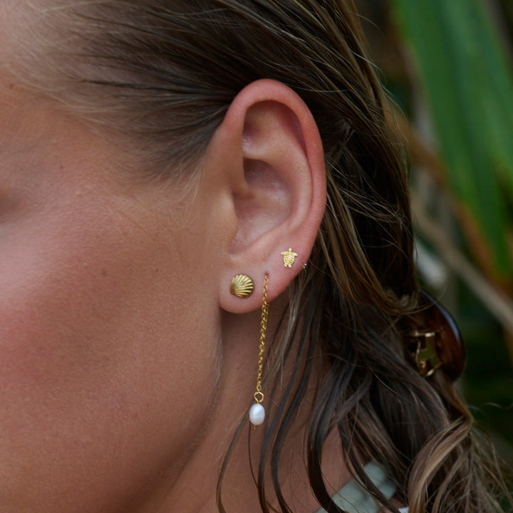 Ane - Seashell Stud Earrings Stainless Steel