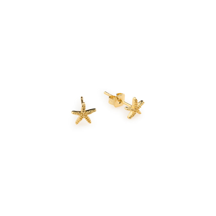 Solana - Mini Starfish Stud Earrings