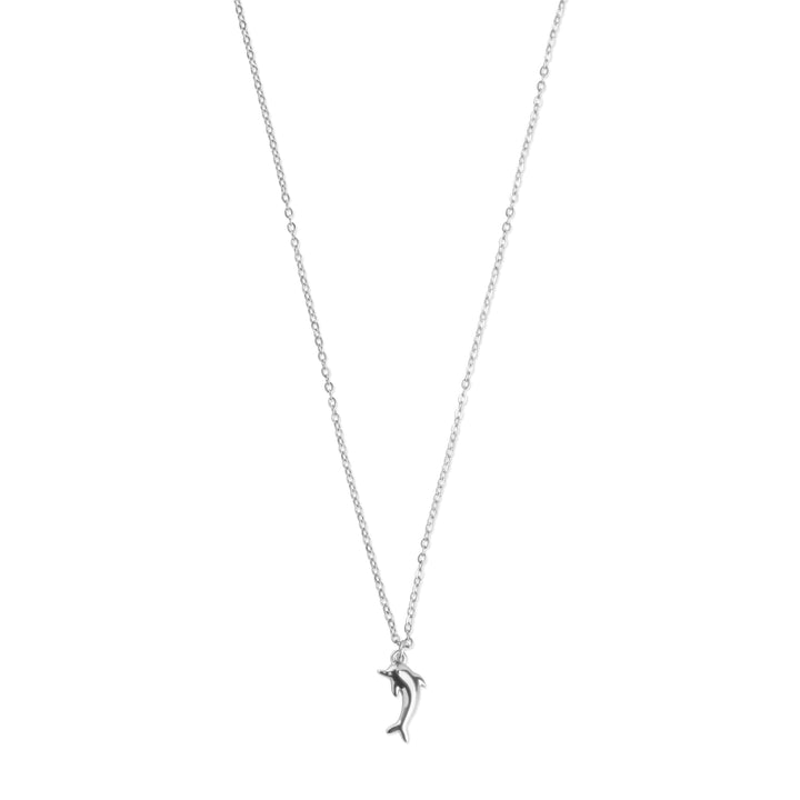 Eilora - Collier Dauphin en Acier Inoxydable