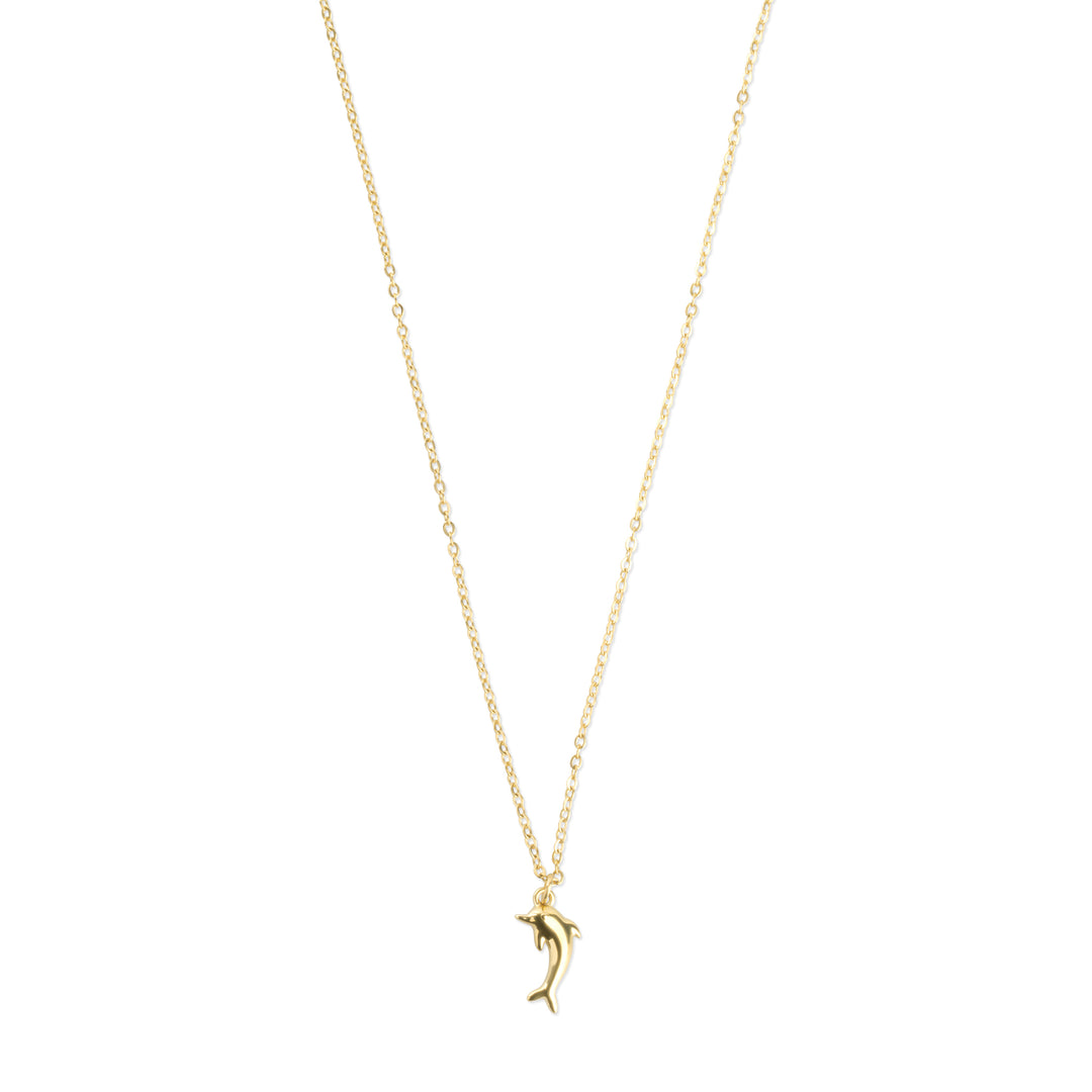 Eilora - Collier Dauphin en Acier Inoxydable