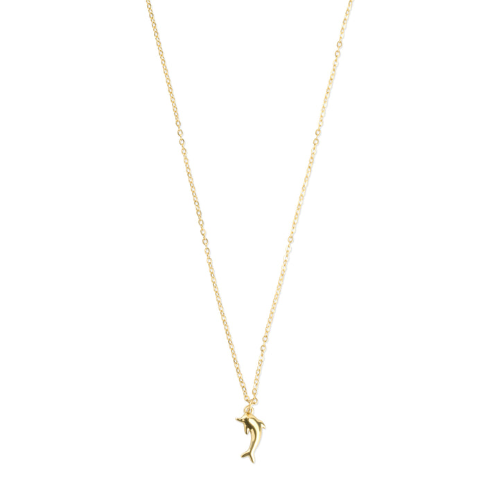 Eilora - Collier Dauphin en Acier Inoxydable