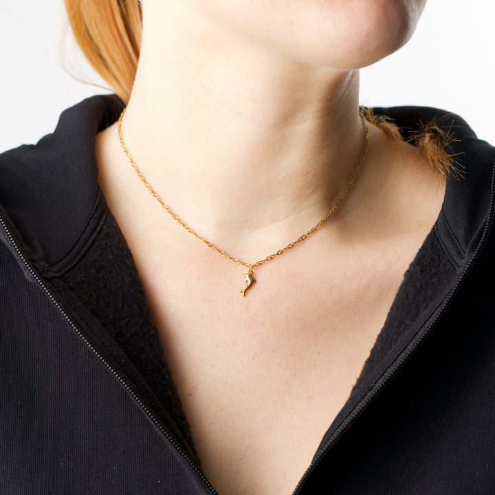 Eilora - Collier Dauphin en Acier Inoxydable
