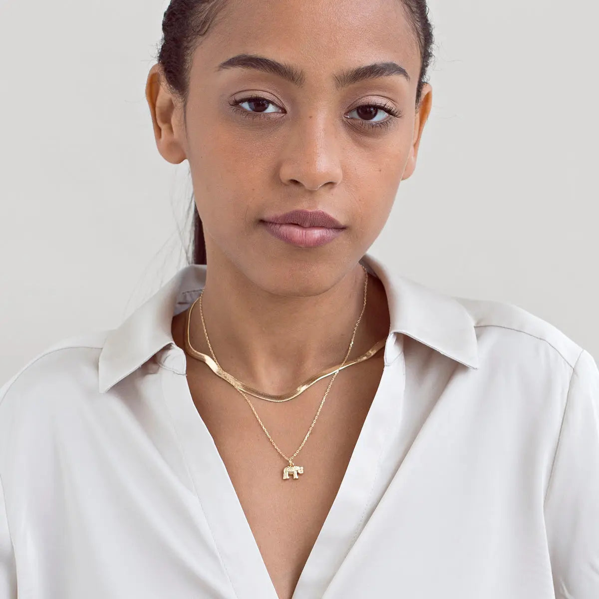 Ensemble de chaîne de serpent
