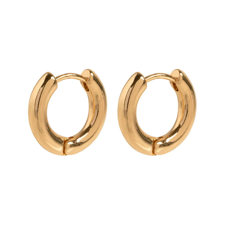 Basic Medium Hoop Earring - Gold