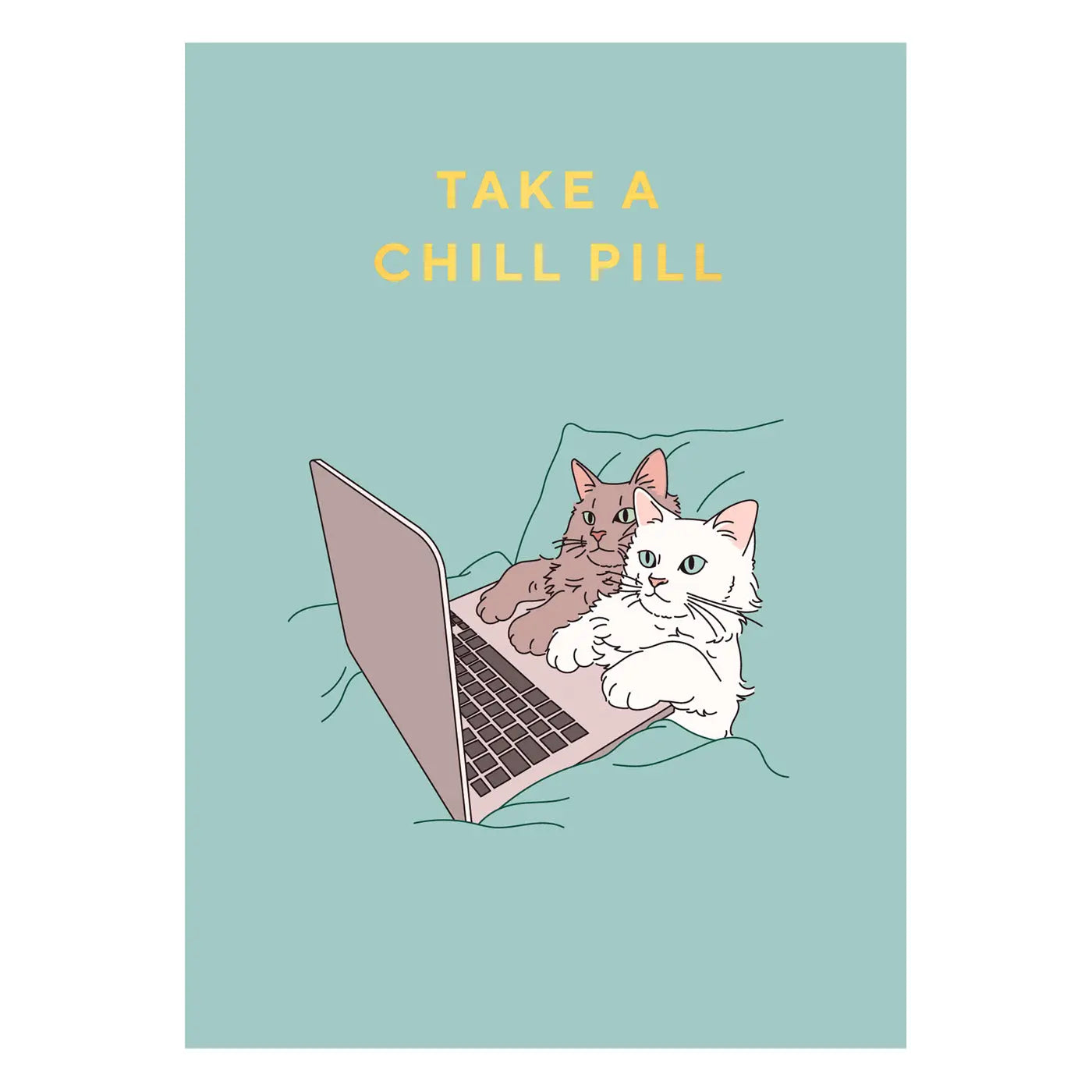 Take a chill pill Postcard